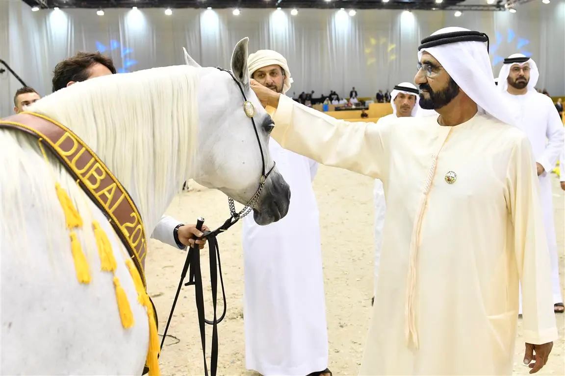 Dubai International Arabian Horse Show 
