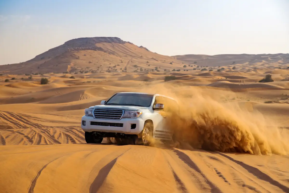 Dubai-Safari: Aufregung im Herzen der Wüste