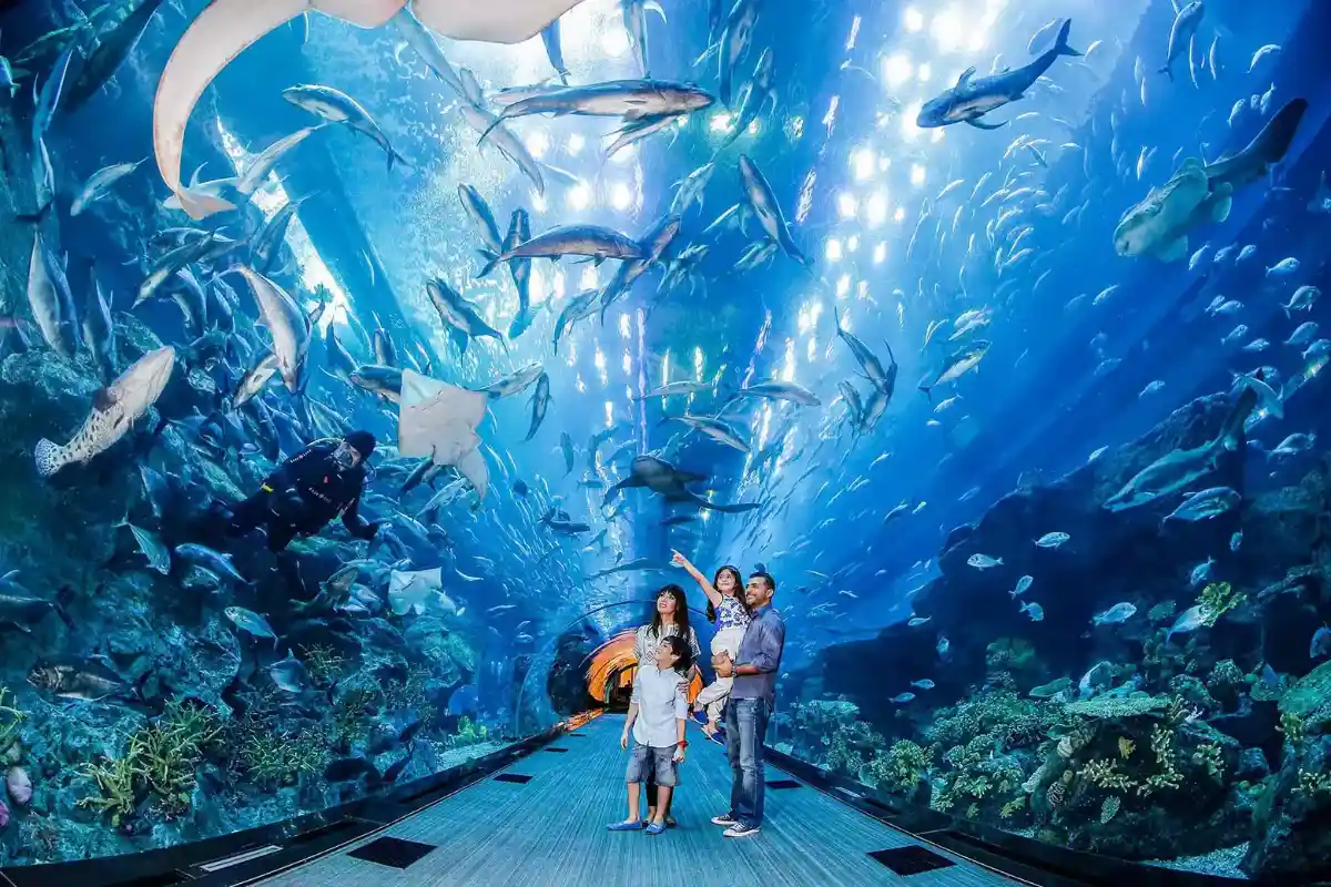 Lokasyon at madaling access sa Dubai Aquarium