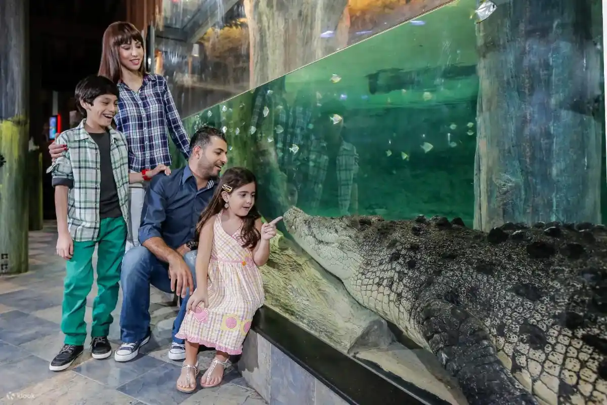 Mga pasilidad ng aquarium at ilalim ng tubig na zoo